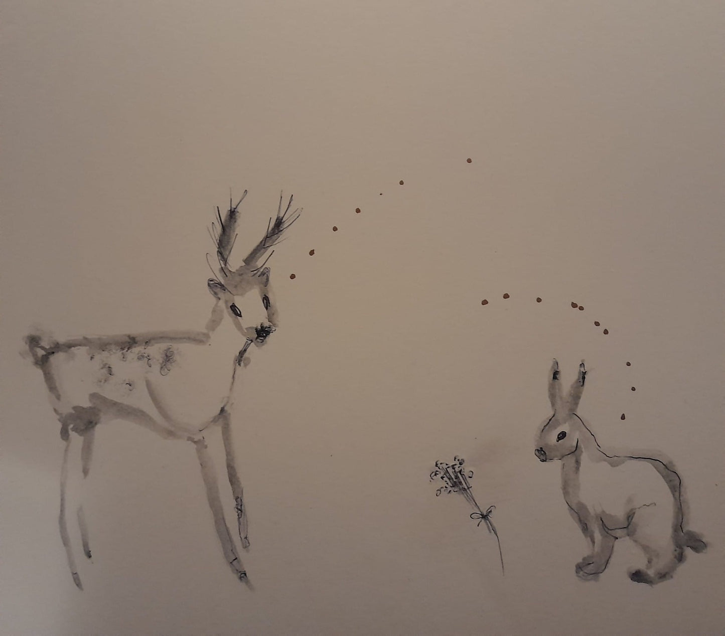 Workshop - Spring 2025